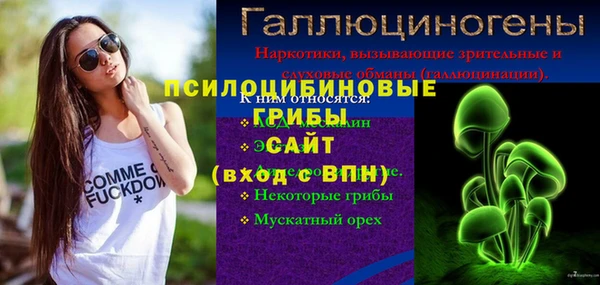 наркотики Бородино