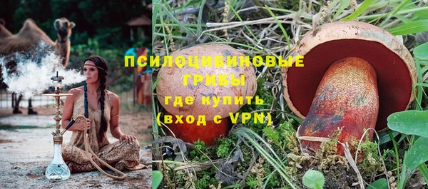 ешки Липки