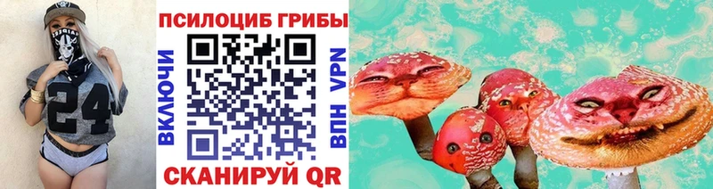 Псилоцибиновые грибы Psilocybine cubensis  что такое   Северобайкальск 