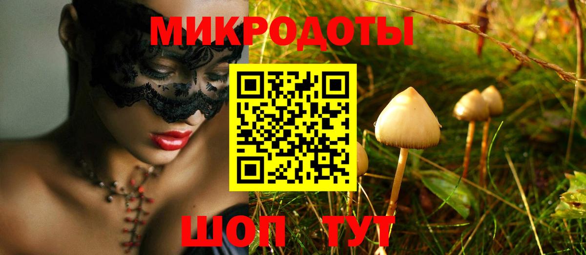 Галлюциногенные грибы Magic Shrooms  Вход с VPN  Северобайкальск 